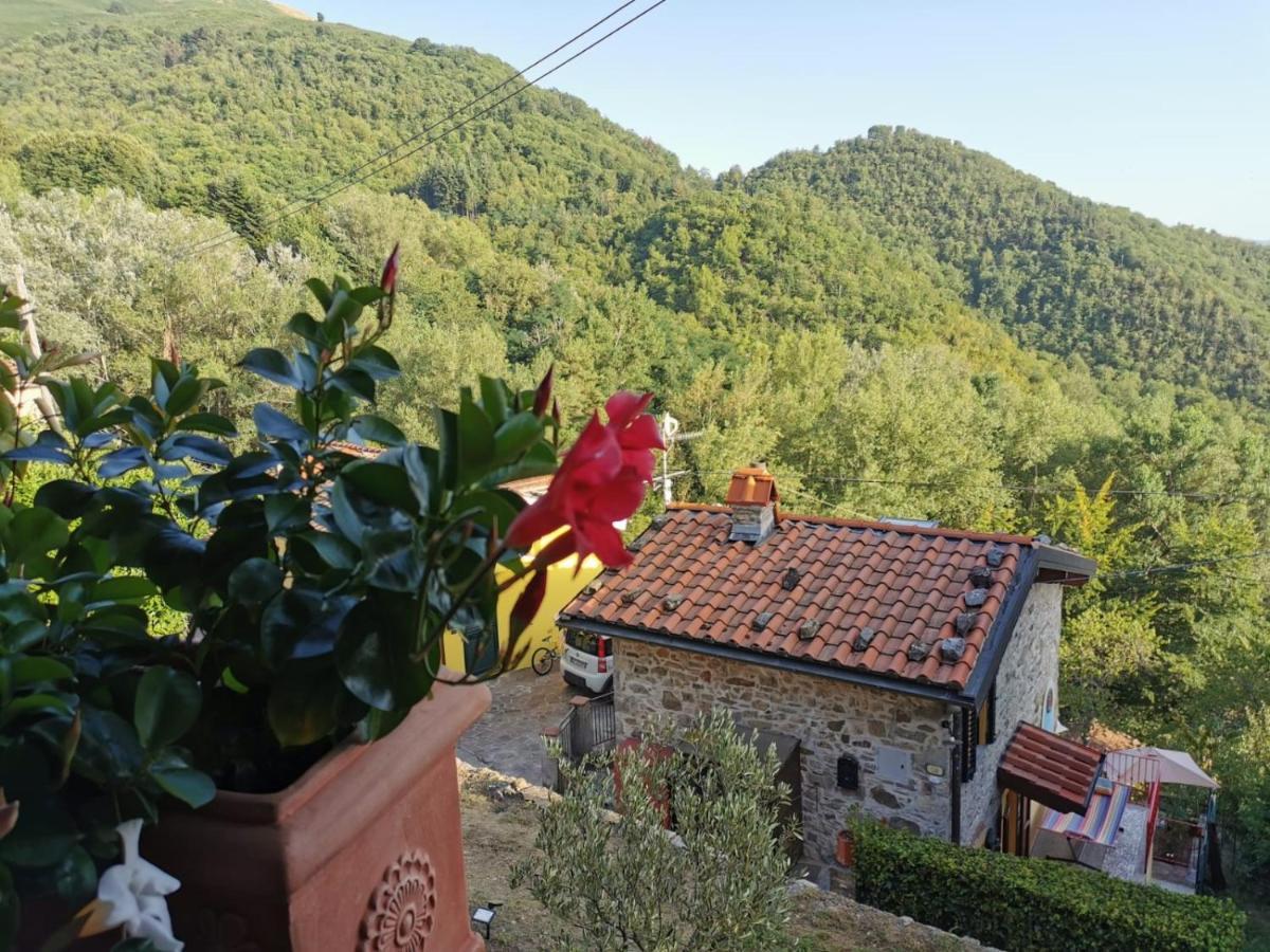 Deliziosa Casetta Sull'Appennino Toscano Montefegatesi エクステリア 写真
